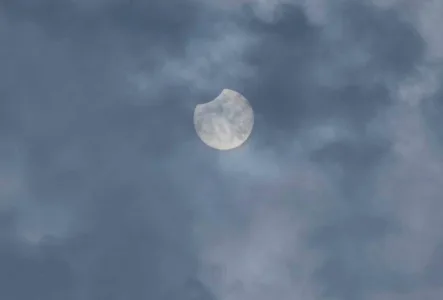 Up in the sky